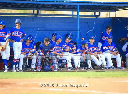 Thumbnail 3 in Los Altos vs. Northview photogallery.