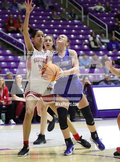 Thumbnail 1 in Fremont vs. Mountain Ridge (UHSAA 6A Quarterfinal) photogallery.