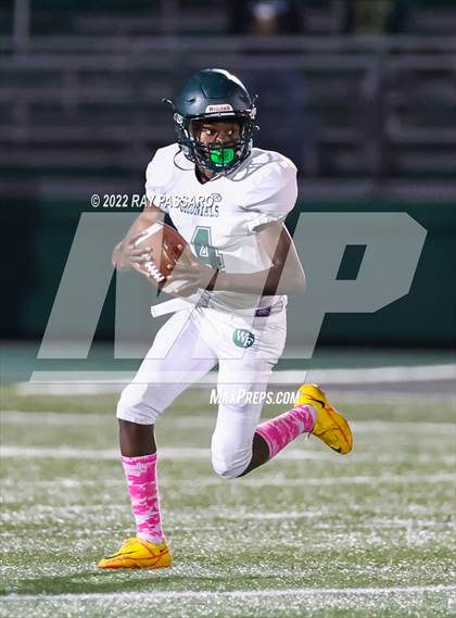 Thumbnail 1 in Longwood @ William Floyd photogallery.