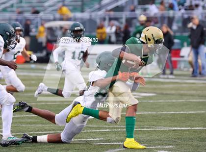 Thumbnail 1 in Longwood @ William Floyd photogallery.