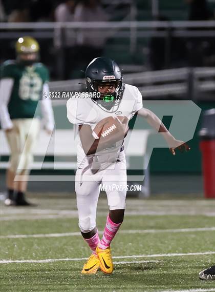 Thumbnail 1 in Longwood @ William Floyd photogallery.