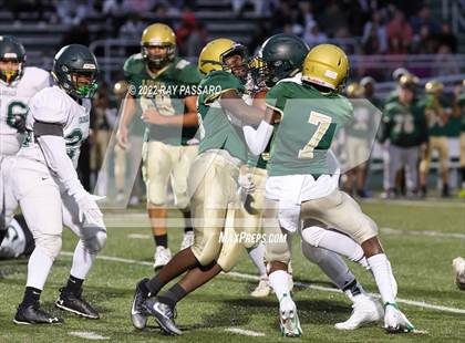 Thumbnail 1 in Longwood @ William Floyd photogallery.
