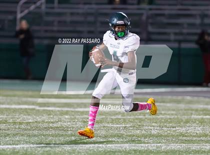 Thumbnail 3 in Longwood @ William Floyd photogallery.