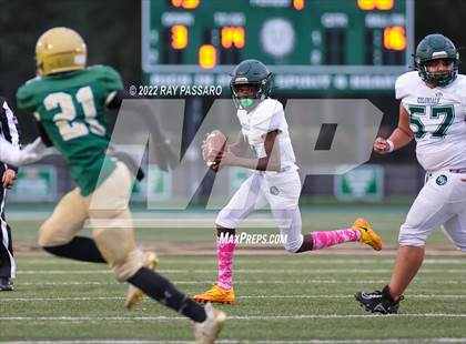 Thumbnail 1 in Longwood @ William Floyd photogallery.