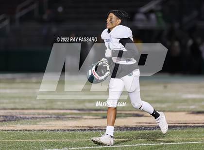Thumbnail 1 in Longwood @ William Floyd photogallery.