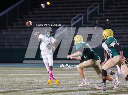Thumbnail 1 in Longwood @ William Floyd photogallery.