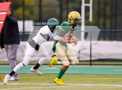 Thumbnail 1 in Longwood @ William Floyd photogallery.
