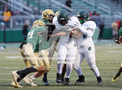 Thumbnail 1 in Longwood @ William Floyd photogallery.