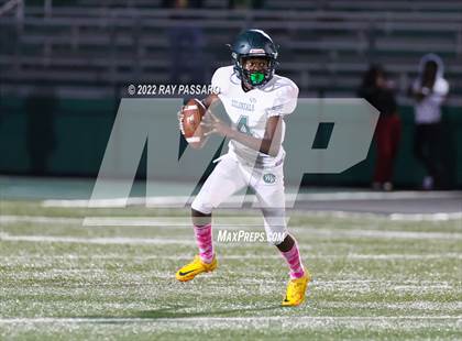 Thumbnail 1 in Longwood @ William Floyd photogallery.