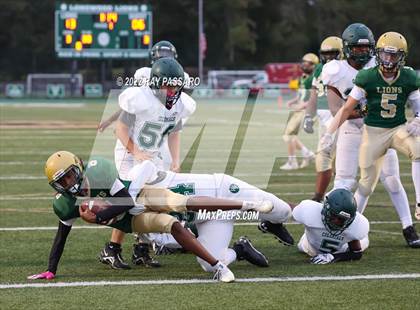 Thumbnail 1 in Longwood @ William Floyd photogallery.