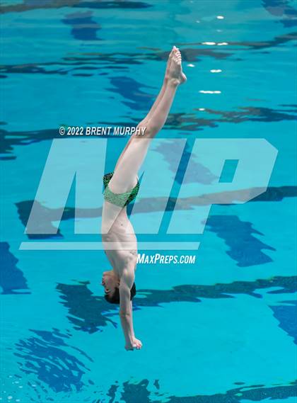 Thumbnail 3 in CHSAA 5A Boys Diving - State Championship photogallery.