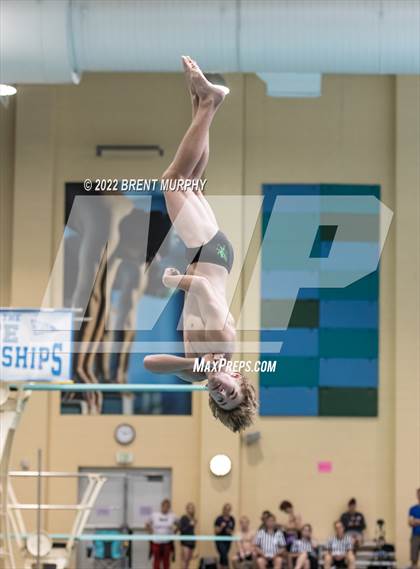 Thumbnail 3 in CHSAA 5A Boys Diving - State Championship photogallery.
