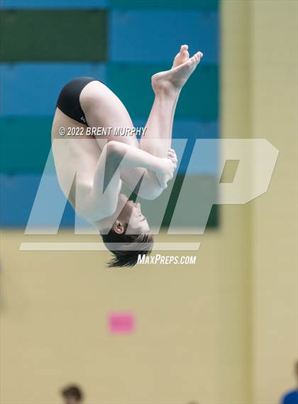 Thumbnail 1 in CHSAA 5A Boys Diving - State Championship photogallery.