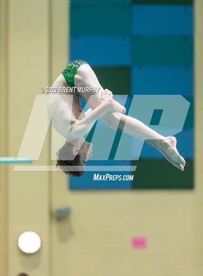 Thumbnail 3 in CHSAA 5A Boys Diving - State Championship photogallery.