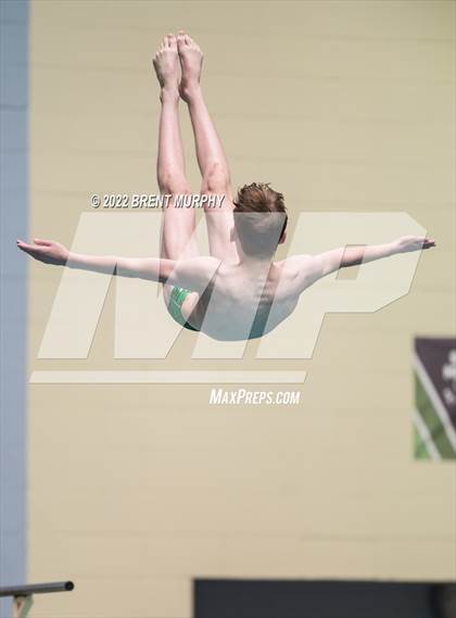 Thumbnail 3 in CHSAA 5A Boys Diving - State Championship photogallery.
