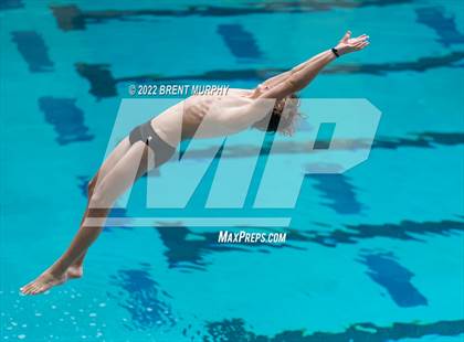 Thumbnail 3 in CHSAA 5A Boys Diving - State Championship photogallery.