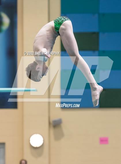 Thumbnail 1 in CHSAA 5A Boys Diving - State Championship photogallery.
