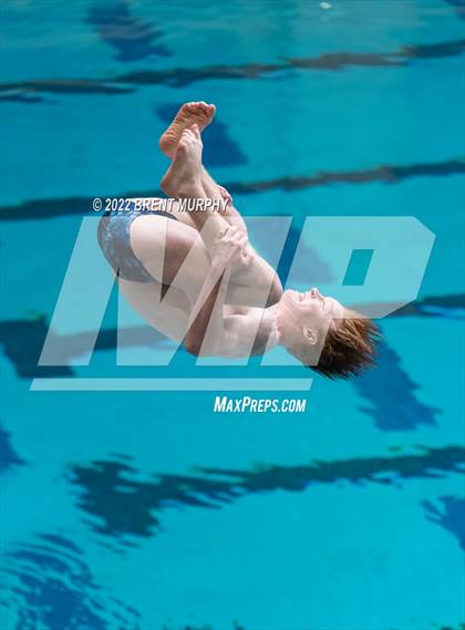 Thumbnail 2 in CHSAA 5A Boys Diving - State Championship photogallery.