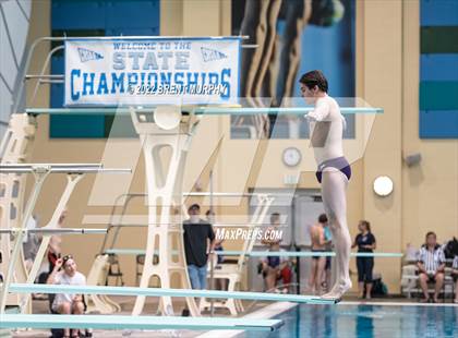 Thumbnail 3 in CHSAA 5A Boys Diving - State Championship photogallery.