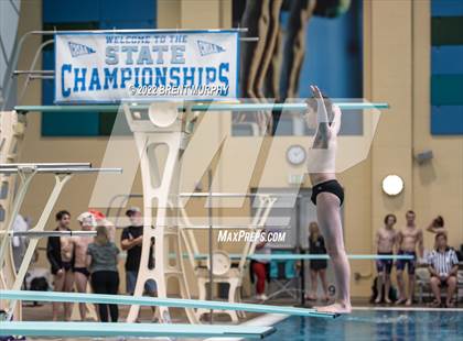 Thumbnail 2 in CHSAA 5A Boys Diving - State Championship photogallery.