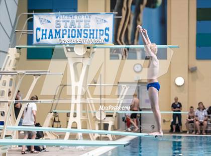 Thumbnail 2 in CHSAA 5A Boys Diving - State Championship photogallery.