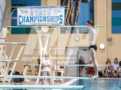 Thumbnail 1 in CHSAA 5A Boys Diving - State Championship photogallery.