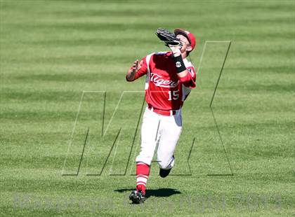 Thumbnail 2 in Belton vs. Cedar Ridge (Rock Hardball Classic) photogallery.
