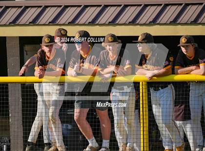 Thumbnail 1 in Hamilton vs East Union (MHSAA 2A Semifinal) photogallery.