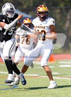 Photo from the gallery "Windsor @ Montbello"