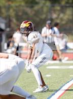 Photo from the gallery "Windsor @ Montbello"