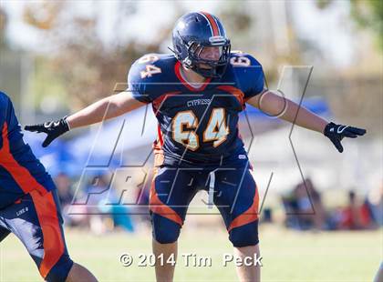 Thumbnail 3 in Troy @ Cypress photogallery.