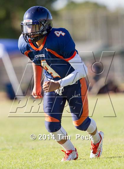Thumbnail 2 in Troy @ Cypress photogallery.