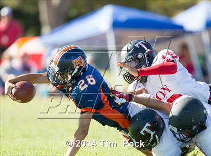 Thumbnail 1 in Troy @ Cypress photogallery.