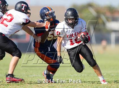 Thumbnail 1 in Troy @ Cypress photogallery.