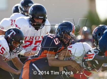 Thumbnail 3 in Troy @ Cypress photogallery.