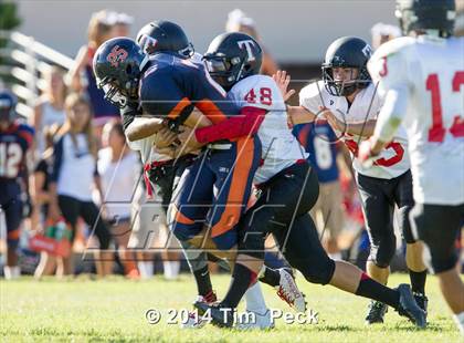 Thumbnail 3 in Troy @ Cypress photogallery.