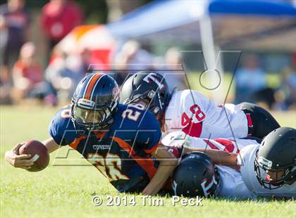 Thumbnail 2 in Troy @ Cypress photogallery.