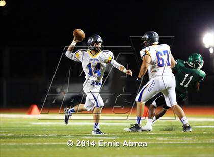 Thumbnail 3 in Sutter @ El Cerrito photogallery.