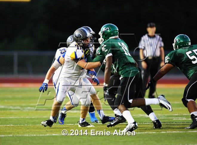 2014 - Photo #5