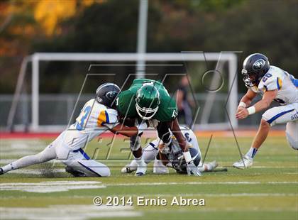 Thumbnail 2 in Sutter @ El Cerrito photogallery.