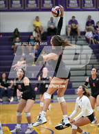Photo from the gallery "Maricopa @ Mesa"