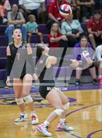 Photo from the gallery "Maricopa @ Mesa"