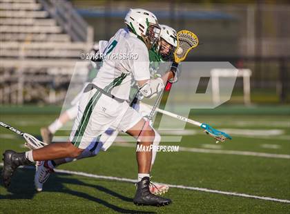 Thumbnail 1 in William Floyd @ Longwood photogallery.