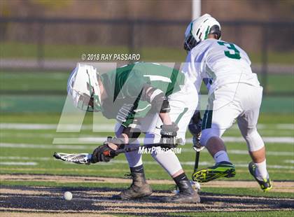 Thumbnail 2 in William Floyd @ Longwood photogallery.