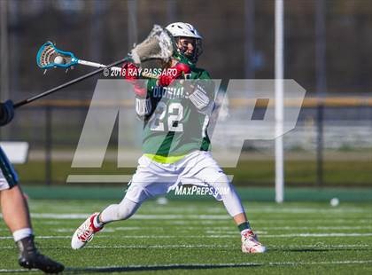 Thumbnail 1 in William Floyd @ Longwood photogallery.