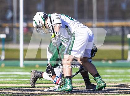 Thumbnail 2 in William Floyd @ Longwood photogallery.