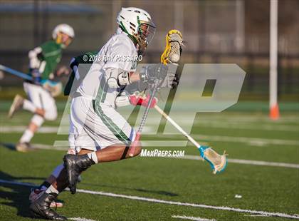 Thumbnail 2 in William Floyd @ Longwood photogallery.
