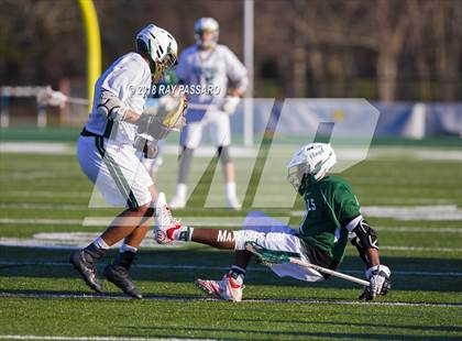 Thumbnail 1 in William Floyd @ Longwood photogallery.