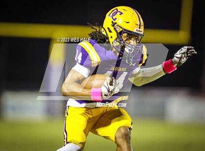 Thumbnail 1 in Hernando @ DeSoto Central photogallery.