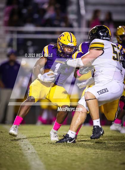 Thumbnail 1 in Hernando @ DeSoto Central photogallery.